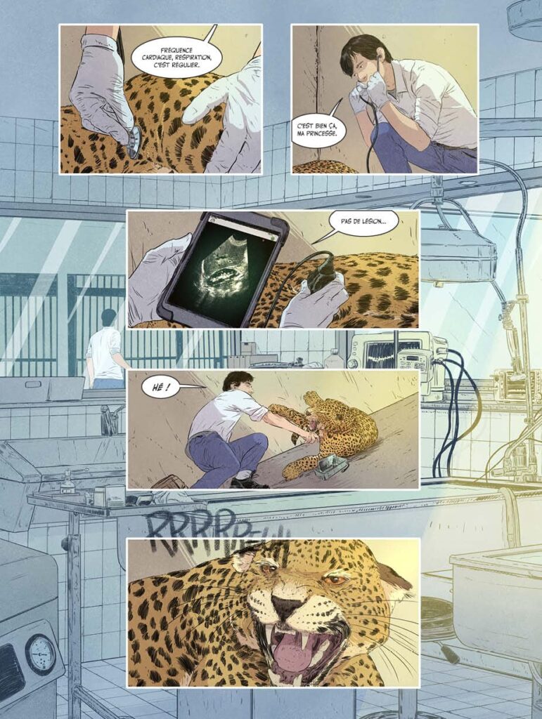 Sauvages by Christian Lachenal and Bruno Lecigne, art by Federico Pietrobon