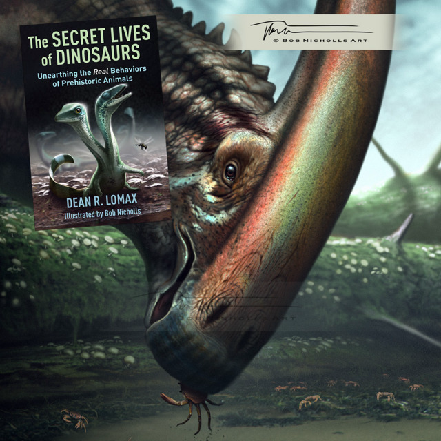The Secret Lives of Dinosaurs: Unearthing the Real Behaviors of Prehistoric Animals by Dean R. Lomax, illustrated by Robert Nicholls Art by and ©️ Bob Nicholls Art