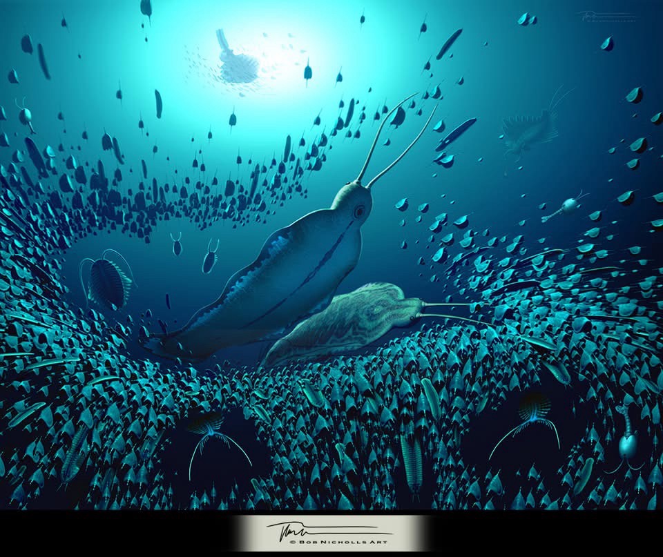 Art by and ©️ Bob Nicholls Art