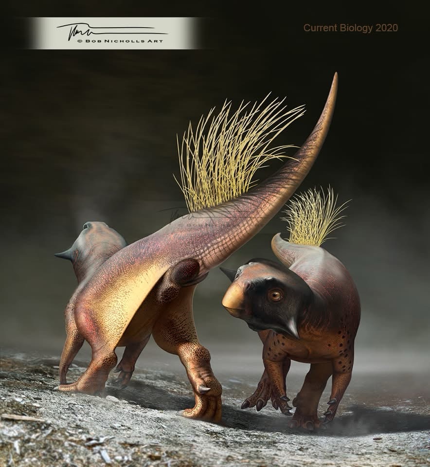 Art by and ©️ Bob Nicholls Art