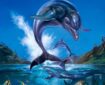 Ecco the Dolphin art by "Bruce"