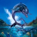 Ecco the Dolphin art by "Bruce"