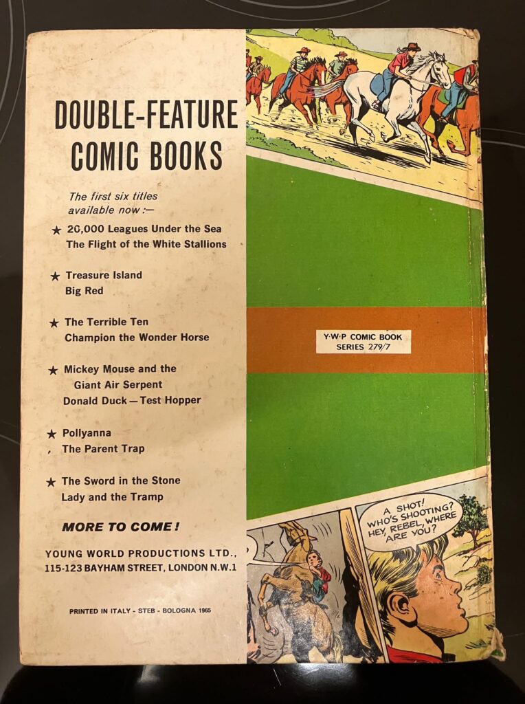 A YWP Book: The Terrible Ten and Champion the Wonder Horse