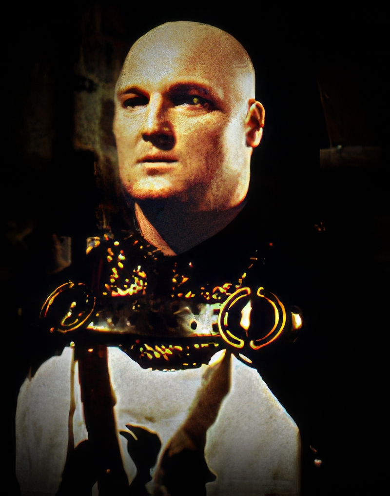 Dark Knight - Todd Rippon (Falco)
