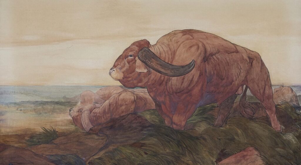 “The Return of the Buffalo Herd” by Charles Maurice Detmold is on display at Bateman’s in East Sussex, Kipling’s former home