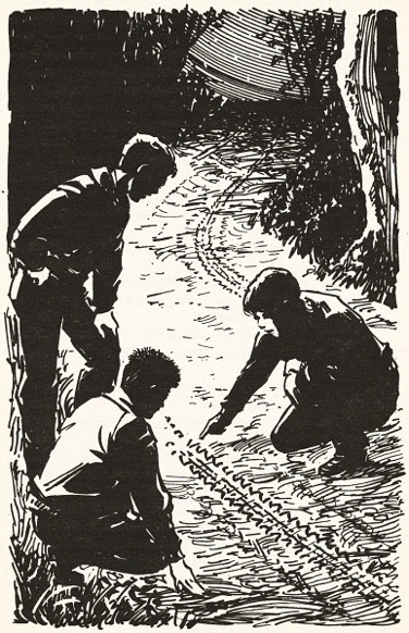 The Mystery of Holly Lane by Enid Blyton (1991), illustration by Rodney Sutton