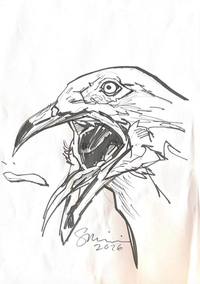 Seagull art by Sean Philips