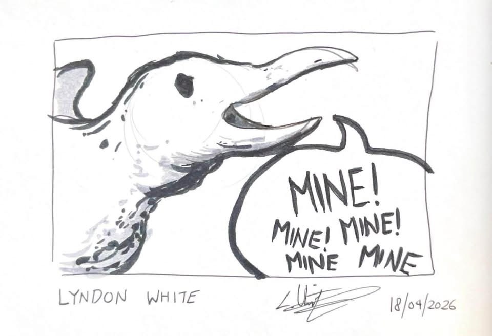 Seagull art by Lyndon White