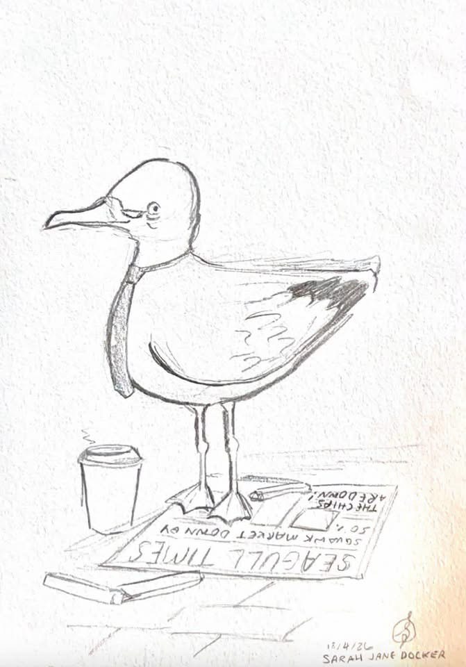 Seagull art by Sarah Jane Docker