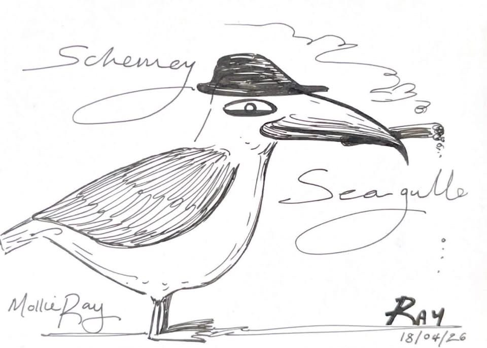 Seagull art by Mollie Ray