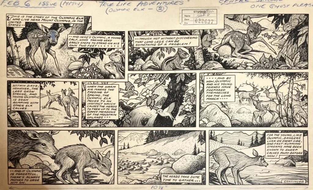An episode of “True Life Adventures” for Mickey Mouse Weekly by Basil Reynolds | Image via Comic Art Fans