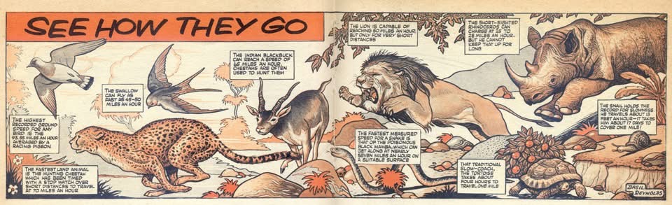 See How they Go art by Basil Reynolds 