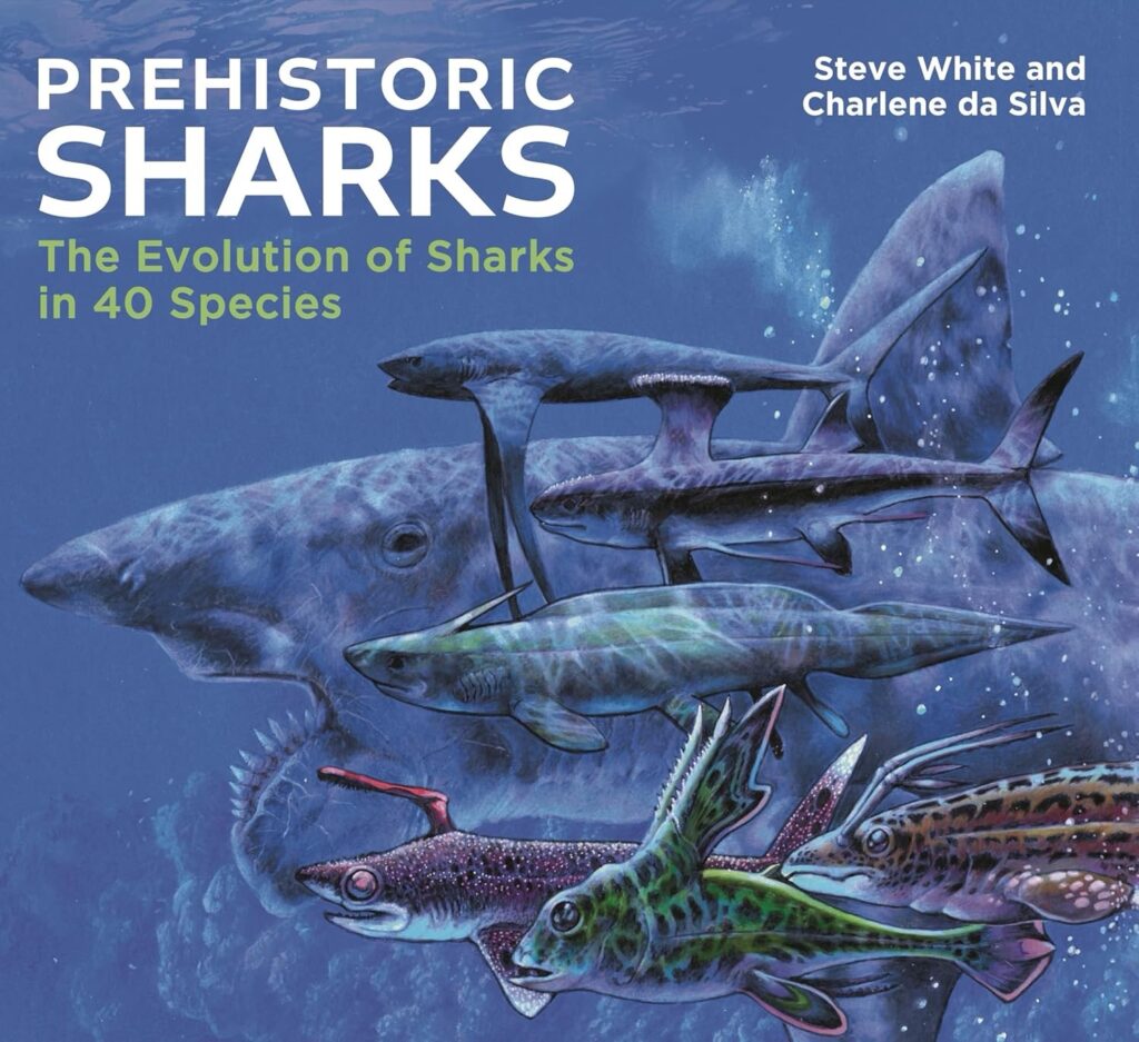Prehistoric Sharks: The Evolution of Sharks in 40 Species by Charlene da Silva and Steve White