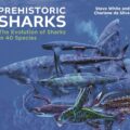 Prehistoric Sharks: The Evolution of Sharks in 40 Species by Charlene da Silva and Steve White