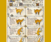 “Turn Your Cat into an Ugly Medieval Cat” by Madeline Horwath