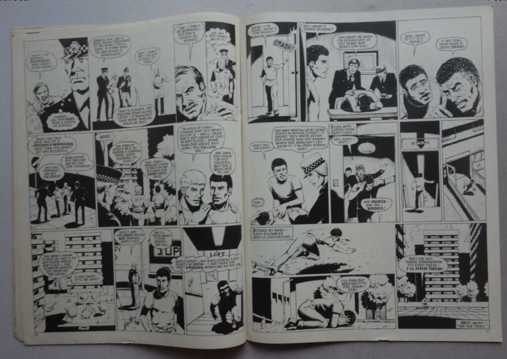 Terra Nova Issue Zero Sample Issue (Eco Publishing, 1983) - Lavender Valley