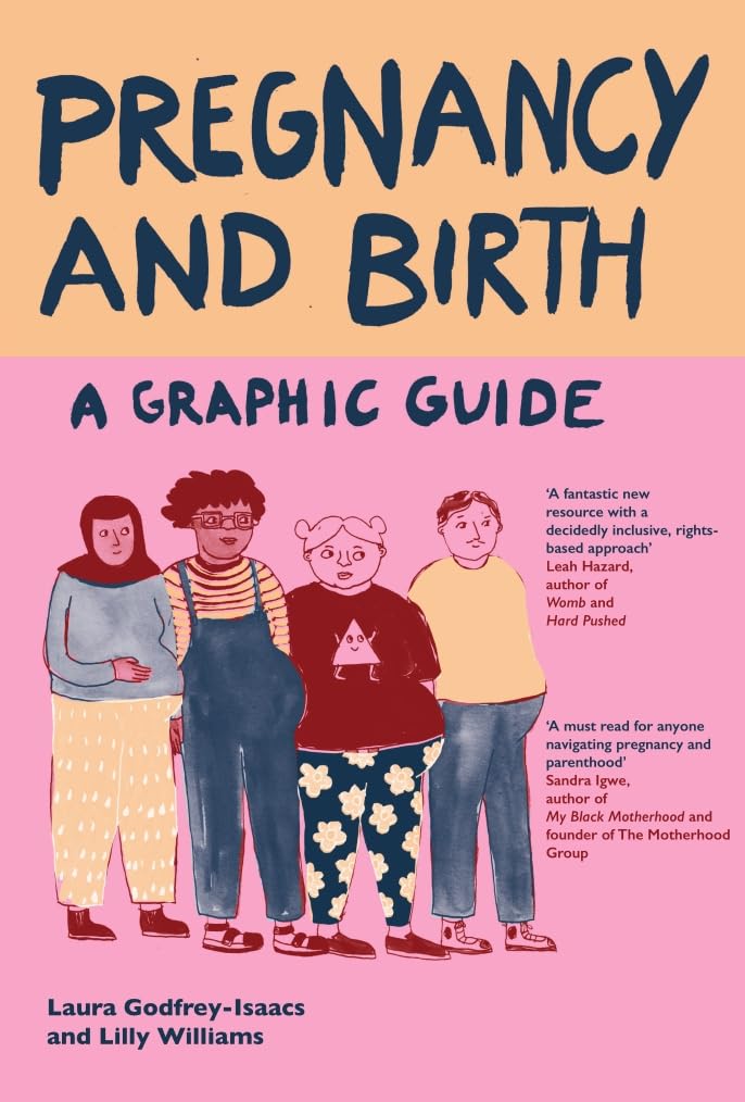Pregnancy and Birth: A Graphic Guide by Laura Godfrey-Isaacs, Lilly Williams, Published by Icon Books