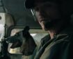 The Dog Stars (2026)