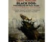 Black Dog: The Dreams of Paul Nash – 10th Anniversary Exhibition 24th September to 25th October 2026, Adam’s Gallery, 42A High Street, Reigate RH2 9AT