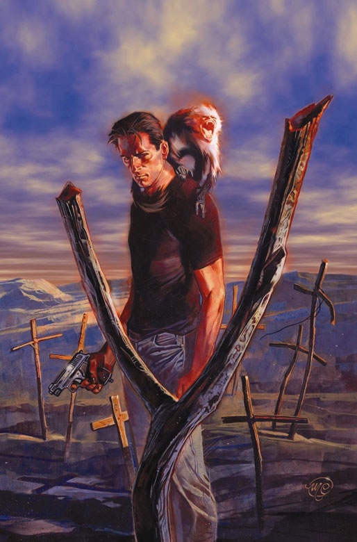 Y: The Last Man art by Massimo Carnevale