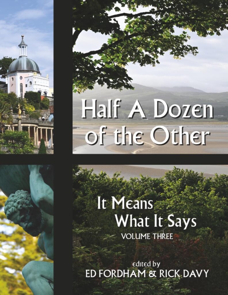 It Means What It Says Volume Three: Half A Dozen of the Other - by Ed Fordham & Rick Davy
