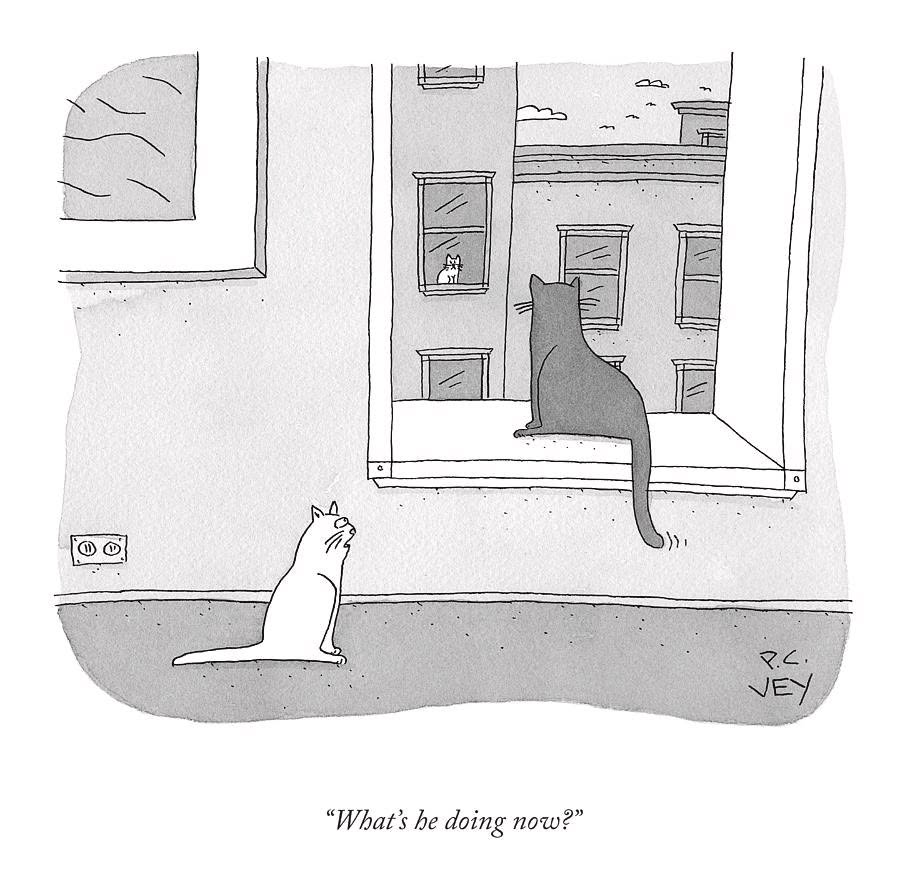 P. C. Vey Cartoon - Cat Watching