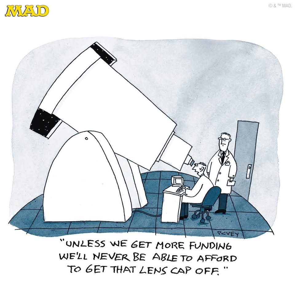 MAD Magazine: RIP to cartoonist and MAD contributor P.C. Vey. His musings about modern life (from both human and animal perspectives) will be greatly missed.