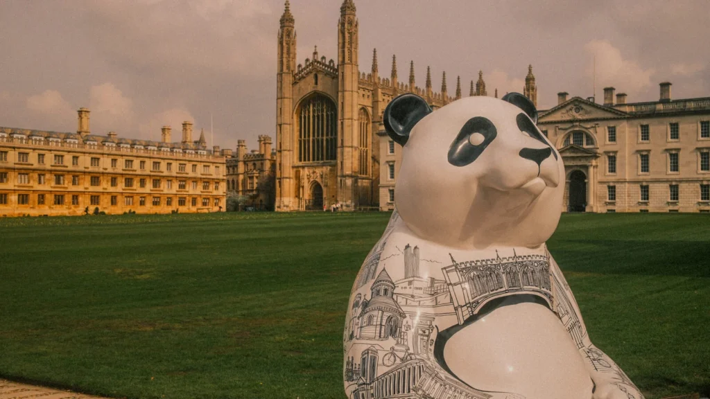 Panda Meander - Cambridge 2027